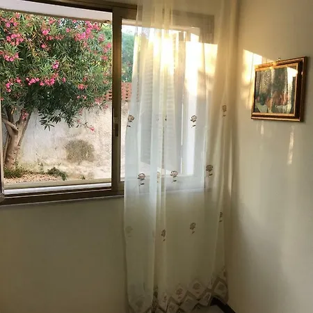 Sunflowers Acireale